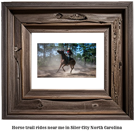 horse trail rides near me in Siler City, North Carolina